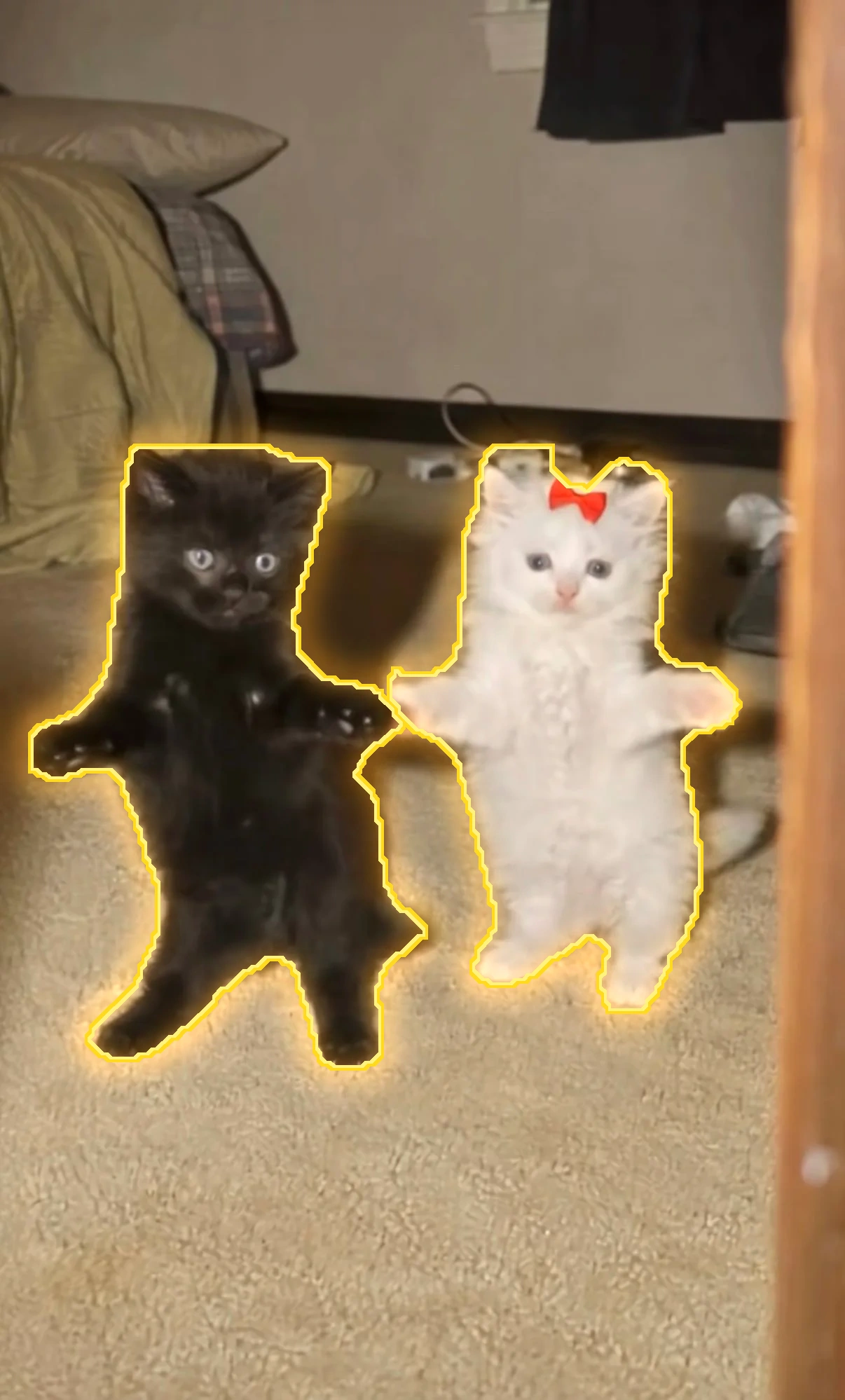 Dancing kittens
